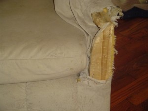 This is the livingroom recliner. It was the first piece of furniture destroyed and is now known as "Sam's chair."