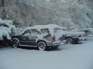 The cars in the snow